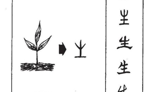 三七粉的正确吃法用量-三七粉熟吃的正确吃法网-分享三七粉的正确吃法用量，三七粉一次吃几克知识库